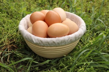 Fresh chicken eggs in basket on green grass outdoors