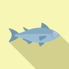 Atlantic herring swimming in the ocean with a long shadow