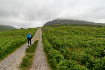 Obraz premium Hiker girl on Devils Ladder, one of most difficult trails, that is leading to highest Irish mountain Carrauntoohill or Carrantuohill is the highest mountain in Ireland at 1038m