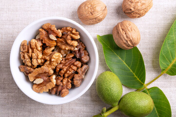 Walnut halves in a white bowl on linen fabric. Shelled, dried walnut kernels, ripe seeds of the common walnut tree. On the right dried nuts with shells, and tree branch with unripe nuts in green husk.