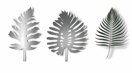 Fototapeta premium Realistic transparent shadow from a leaf of a palm tree on the white background. Tropical leaves shadow. Mockup with palm leaves shadow.