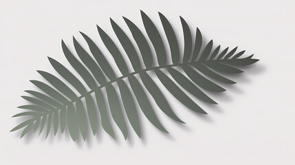 Fototapeta premium Realistic transparent shadow from a leaf of a palm tree on the white background. Tropical leaves shadow. Mockup with palm leaves shadow.