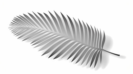 Realistic transparent shadow from a leaf of a palm tree on the white background. Tropical leaves shadow. Mockup with palm leaves shadow.