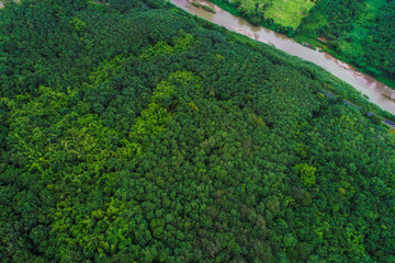 Aerial view tropical rain forest mountain river nature landscape