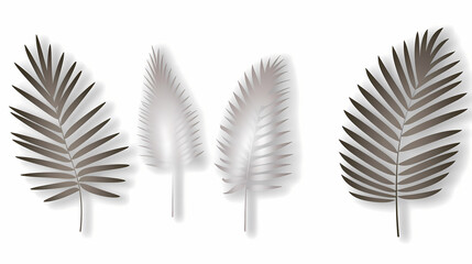 Fototapeta premium Realistic transparent shadow from a leaf of a palm tree on the white background. Tropical leaves shadow. Mockup with palm leaves shadow.