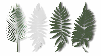 Naklejka premium Realistic transparent shadow from a leaf of a palm tree on the white background. Tropical leaves shadow. Mockup with palm leaves shadow.