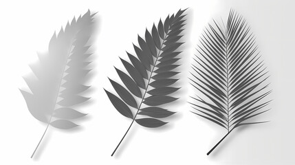 Fototapeta premium Realistic transparent shadow from a leaf of a palm tree on the white background. Tropical leaves shadow. Mockup with palm leaves shadow.