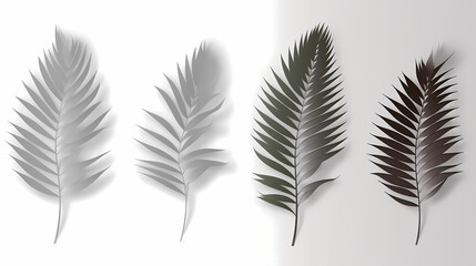 Fototapeta premium Realistic transparent shadow from a leaf of a palm tree on the white background. Tropical leaves shadow. Mockup with palm leaves shadow.