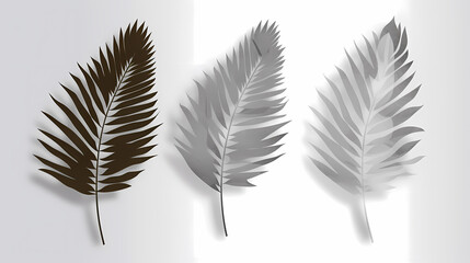 Obraz premium Realistic transparent shadow from a leaf of a palm tree on the white background. Tropical leaves shadow. Mockup with palm leaves shadow.
