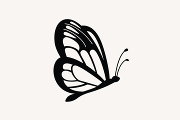 Butterfly vector illustration. Black and white, monochrome moth
