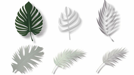 Fototapeta premium Realistic transparent shadow from a leaf of a palm tree on the white background. Tropical leaves shadow. Mockup with palm leaves shadow.