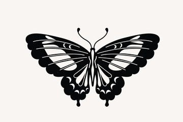 Butterfly vector illustration. Black and white, monochrome moth