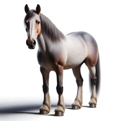 Obraz premium Realistic Illustration of a Majestic Horse