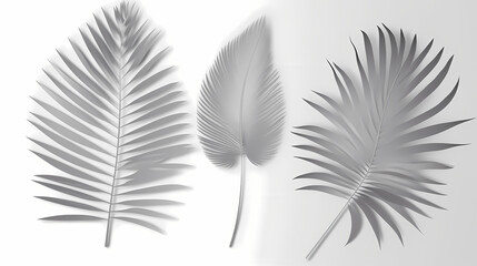 Obraz premium Realistic transparent shadow from a leaf of a palm tree on the white background. Tropical leaves shadow. Mockup with palm leaves shadow.