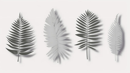 Fototapeta premium Realistic transparent shadow from a leaf of a palm tree on the white background. Tropical leaves shadow. Mockup with palm leaves shadow.
