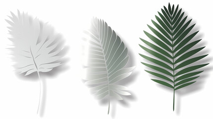 Fototapeta premium Realistic transparent shadow from a leaf of a palm tree on the white background. Tropical leaves shadow. Mockup with palm leaves shadow.