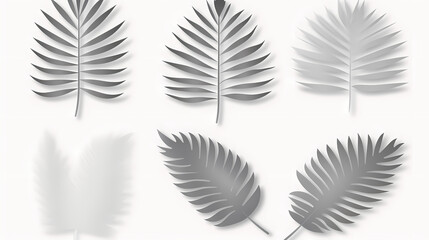 Fototapeta premium Realistic transparent shadow from a leaf of a palm tree on the white background. Tropical leaves shadow. Mockup with palm leaves shadow.