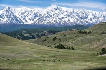 summer panoramic landscape of mountains and forest and waterfall against the sky in the area of ​​Lake Teletskoye in Altai