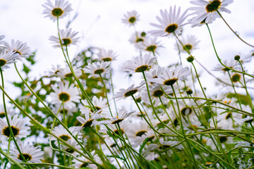 walking around Stratford Upon Avon Birthplace of William Shakepeare