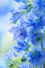 Backdrop with blue-bell flowers with visible stamens, set against a soft-focus background
