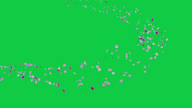 purple petal flower flyng animation video green screen