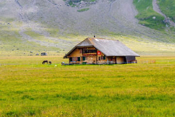 Traditional farm house in Engstligenalp, the largest plateau in the western Swiss Alps. Alpine pasture in summer with blooming wildflowers.