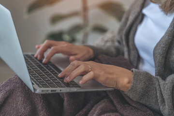 Woman Typing On Laptop In Cozy Setting