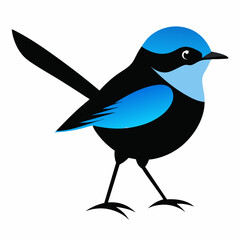 Solid black outline Fairy-Wren animal vector 