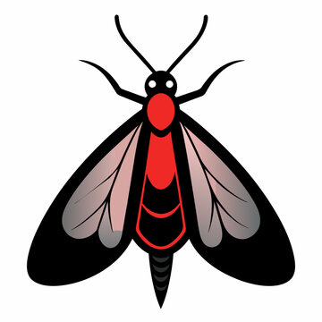 black and red moth graphic clip art preview