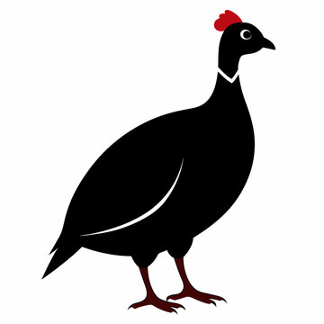recommend clip art: Solid black outline Guinea Fowl animal vector  svg