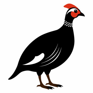 recommend clip art: Solid black outline Guinea Fowl animal vector  svg