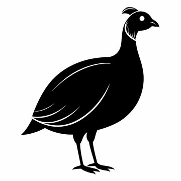 recommend clip art: Solid black outline Guinea Fowl animal vector  svg