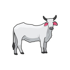 white cow vector design