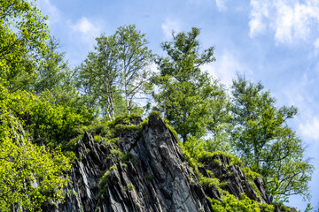 summer panoramic landscape of mountains and forest and waterfall against the sky in the area of ​​Lake Teletskoye in Altai