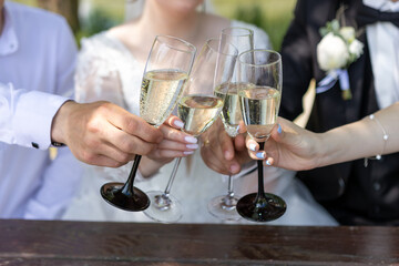 The newlyweds and their friends toast with champagne.