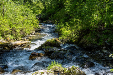 summer panoramic landscape of mountains and forest and waterfall against the sky in the area of ​​Lake Teletskoye in Altai