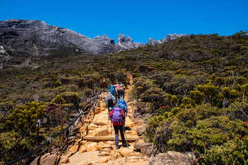 Mount Kinabalu peak with light of sunrise on Mount   trip travel, hiking in Kinabalu national park....
