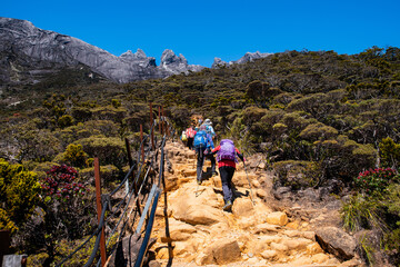 Mount Kinabalu peak with light of sunrise on Mount   trip travel, hiking in Kinabalu national park....
