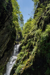 summer panoramic landscape of mountains and forest and waterfall against the sky in the area of ​​Lake Teletskoye in Altai