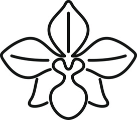 Simple line art icon of an orchid flower blooming