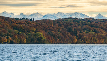 Colorful forest with snowed Alps in the background on a cold autumn evening