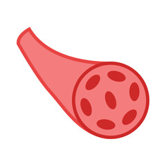 Blood Vessel flat icon