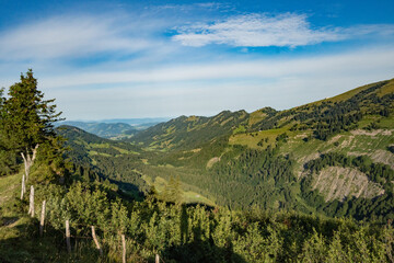 Naklejka premium Prealpine landscape with mountain peaks in Allgäu, south Germany with pine trees