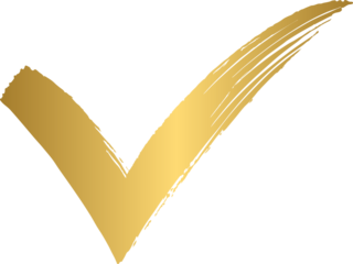 Grunge brush stroke check mark