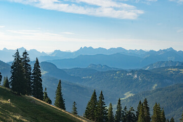 Prealpine landscape with mountain peaks in Allgäu, south Germany with pine trees