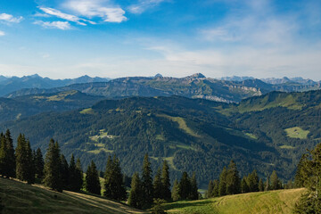 Prealpine landscape with mountain peaks in Allgäu, south Germany with pine trees