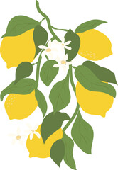 Lemon branch for different use purposes. Retro groovy lemons and leaves clipart. Aesthetic citrus fruit vector illustration.
