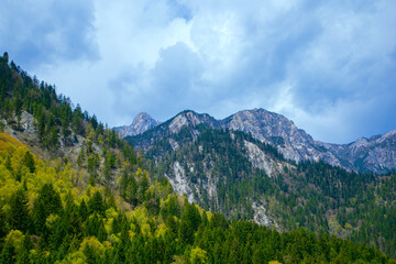 Fototapeta premium Jiuzhaigou, Aba, Sichuan Province - lakes and mountains under the blue sky