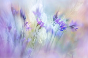 Naklejka premium blurred abstract wildflowers pastel purple lavender tones motion blur still life photography