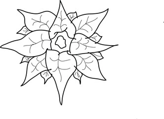 abstract flower illustration made by hand drawing